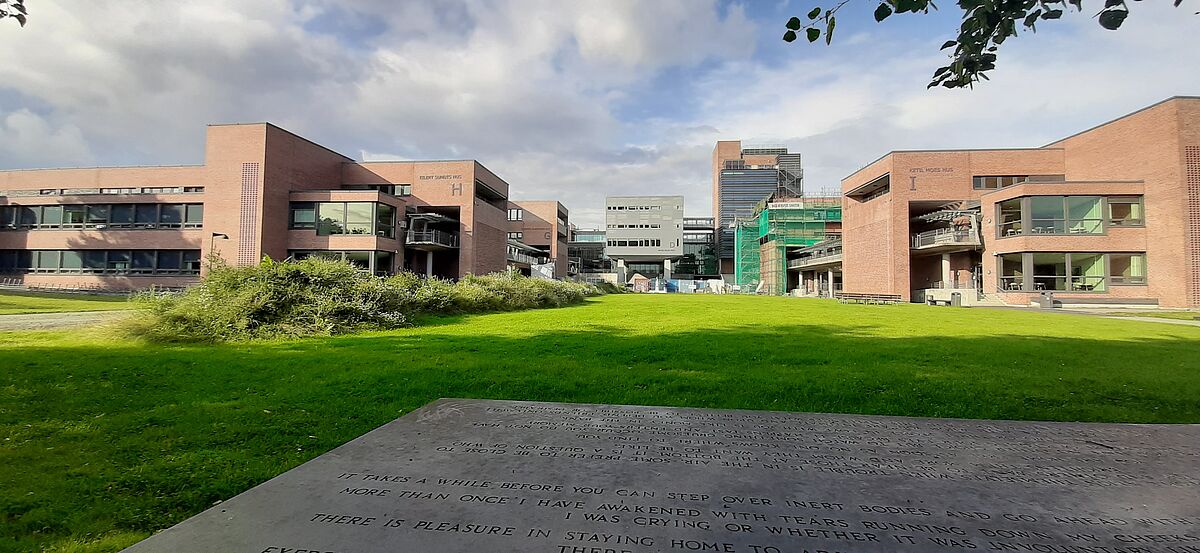University of Agder