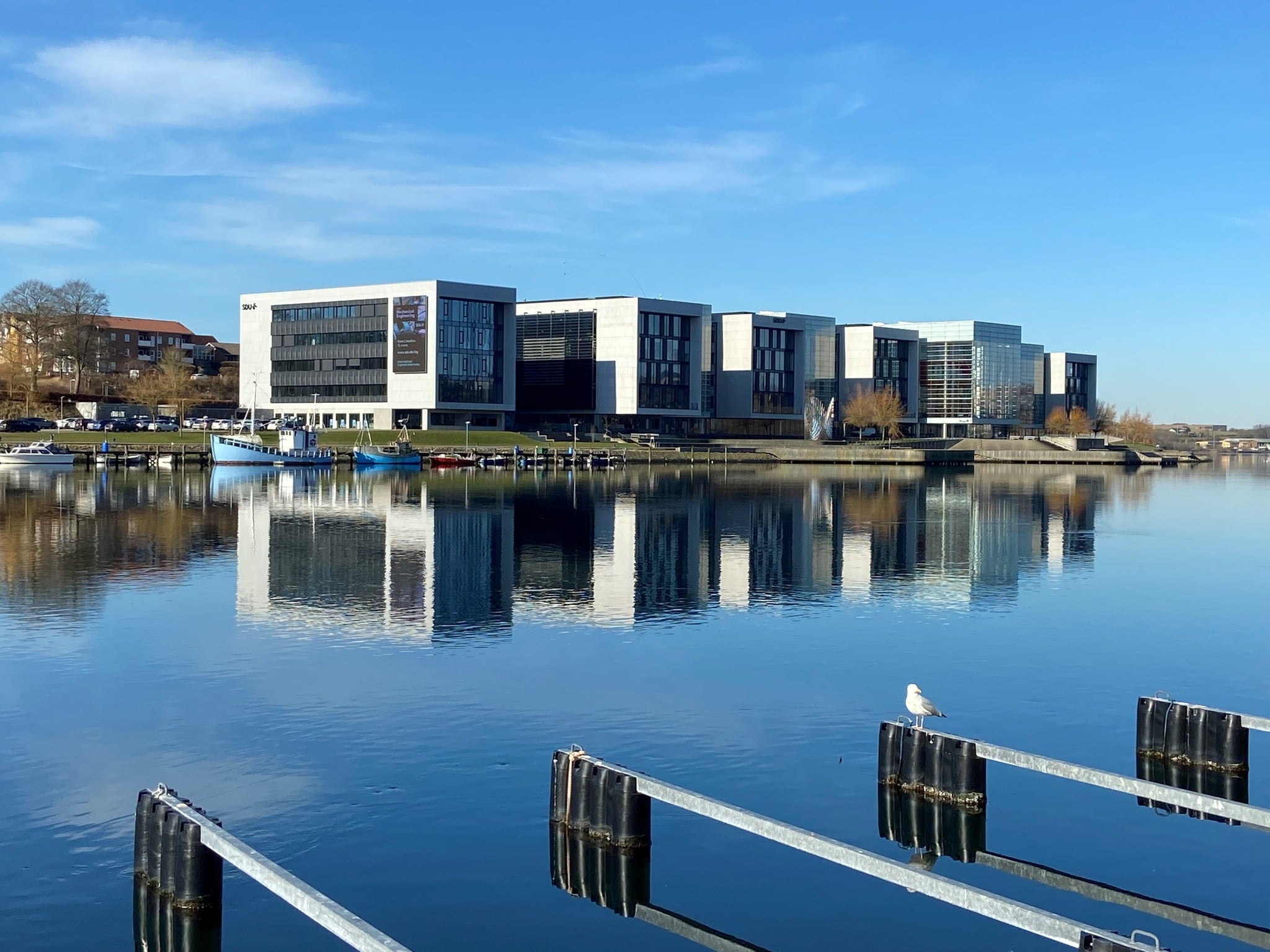 University of Southern Denmark (SDU)