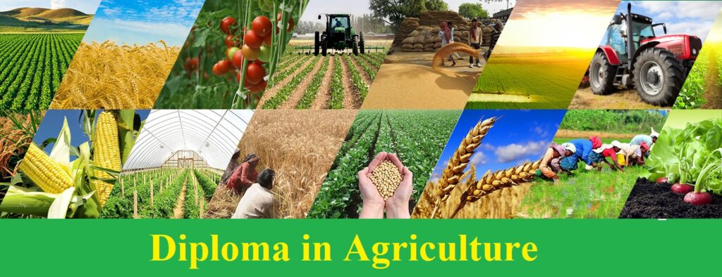 Agriculture
