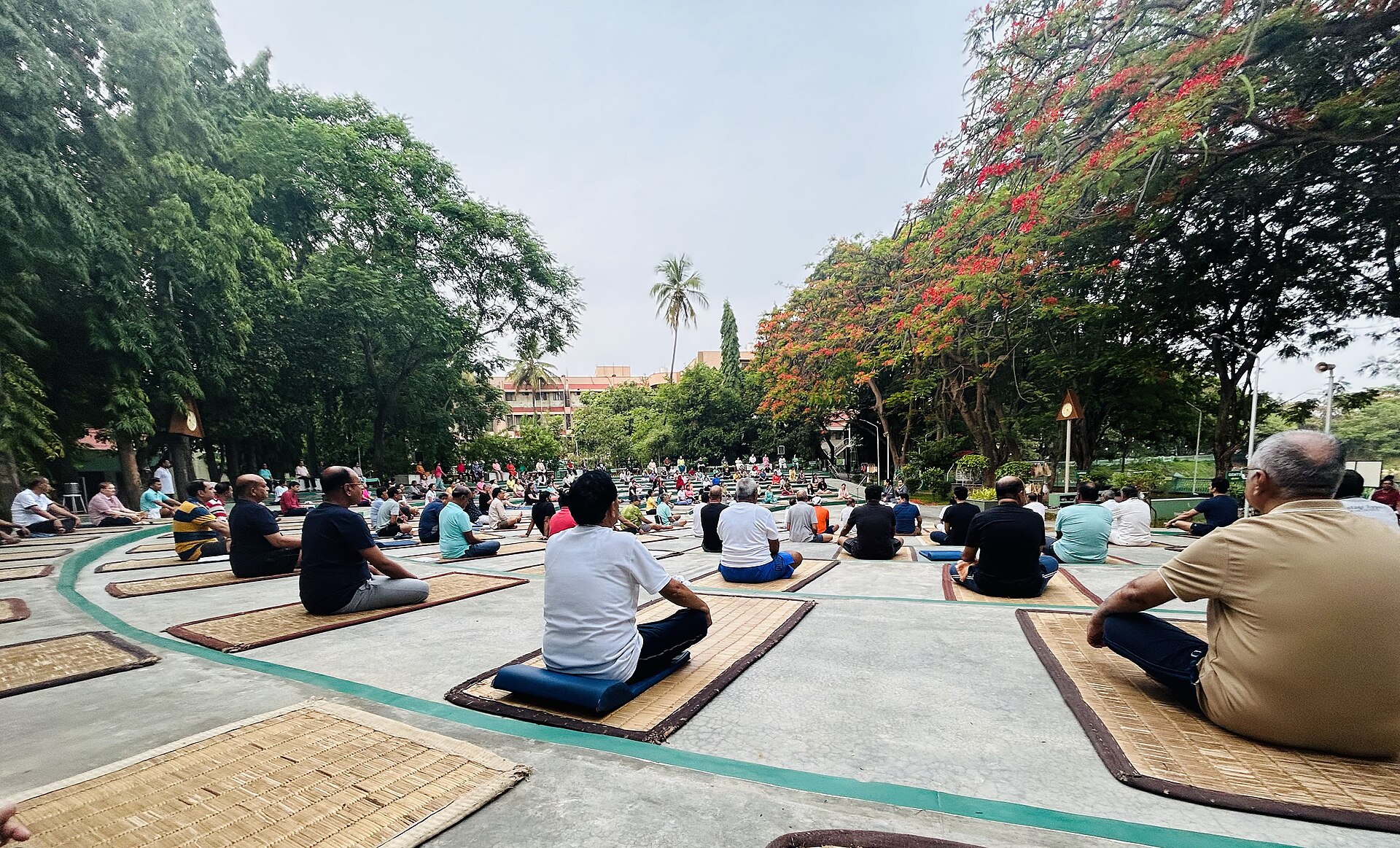 National Institute of Naturopathy Pune Opens BNYS Admissions for 2026-27