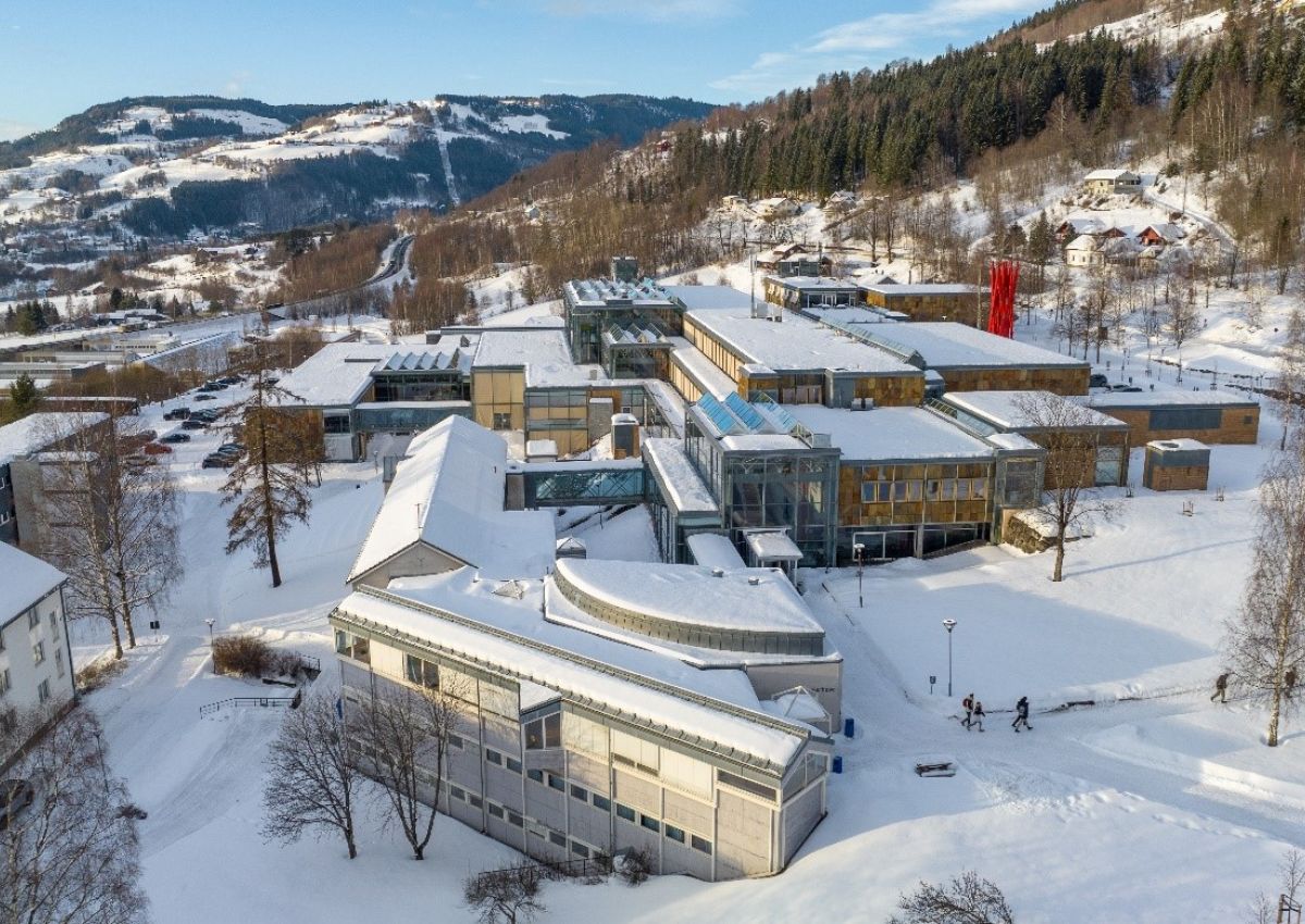Inland Norway University of Applied Sciences (INN University)