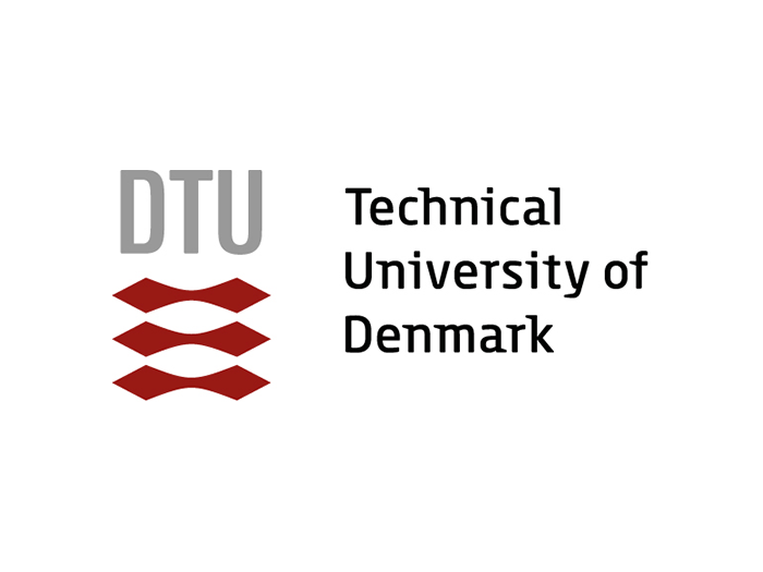 Technical University of Denmark (DTU) logo